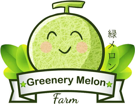 Melon (539x400)