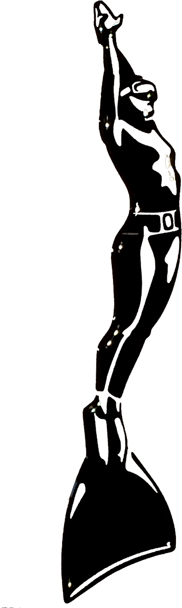 Freediving - Freediving (487x1200)
