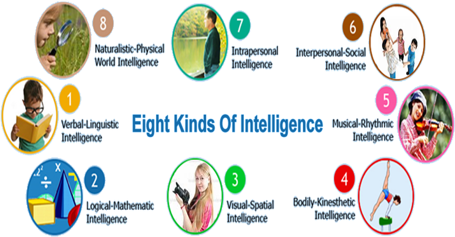 Visual Spatial Intelligence - Web Page (920x481)
