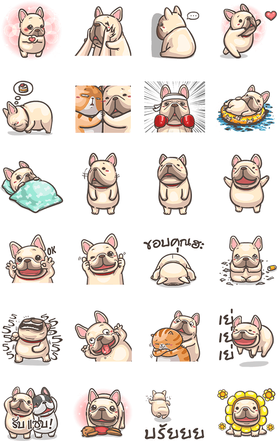 商品描述 - French Bulldog (562x900)