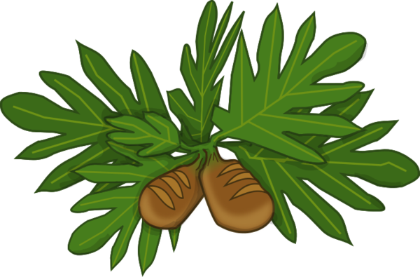 Bread Fruit By Doctormo - Mexican Pinyon (600x395)