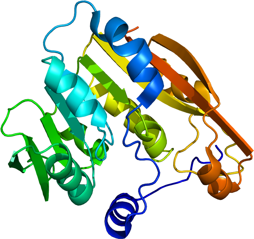 Thiopurine Methyltransferase (926x874)
