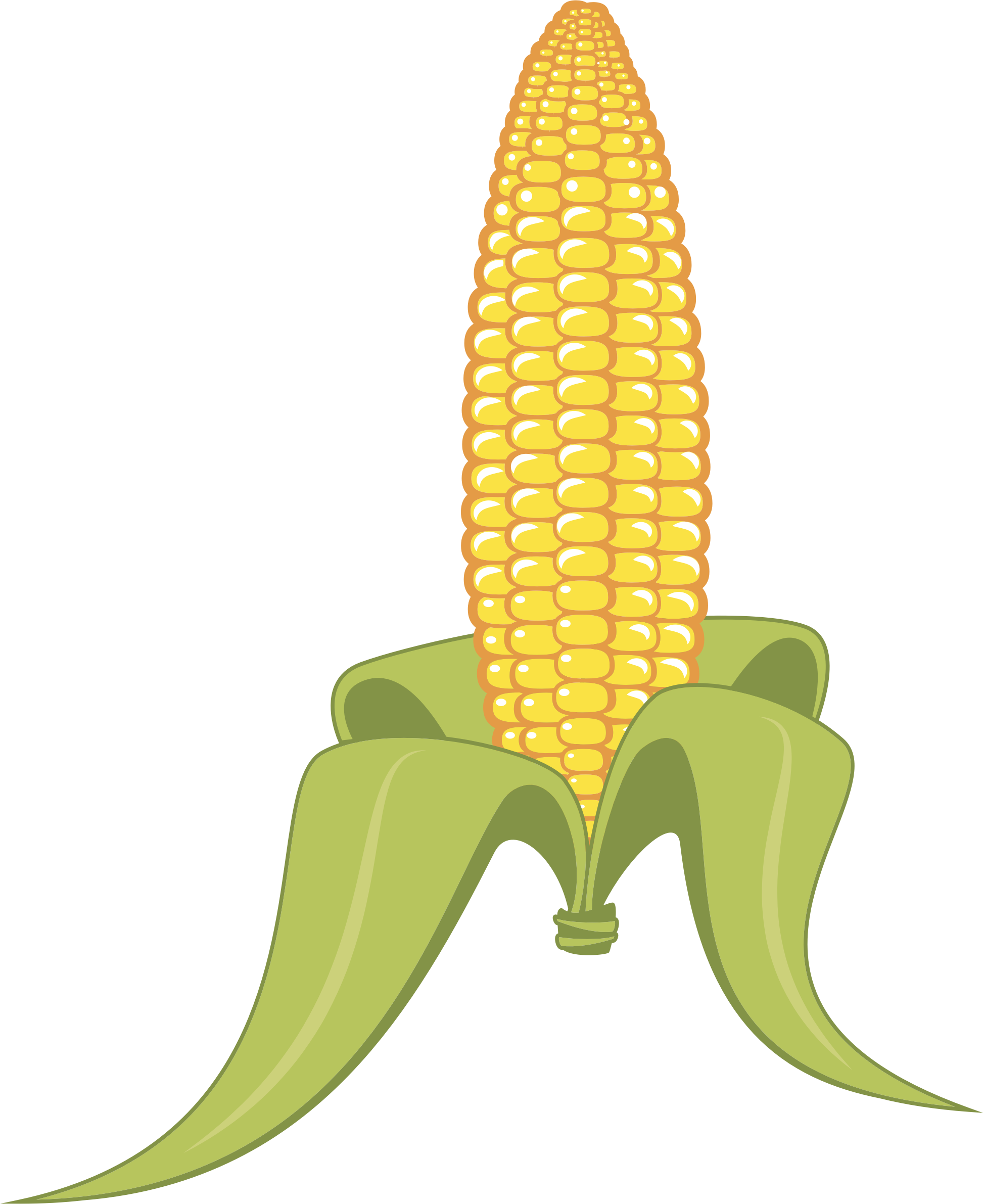 Corn - 夏 イラスト 夏 とうもろこし (1945x2382)