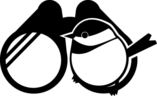 Promotion - Promotion (608x372)