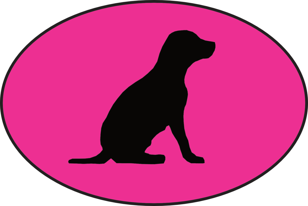 Pup Shadow Website - Pup Shadow Website (1000x670)