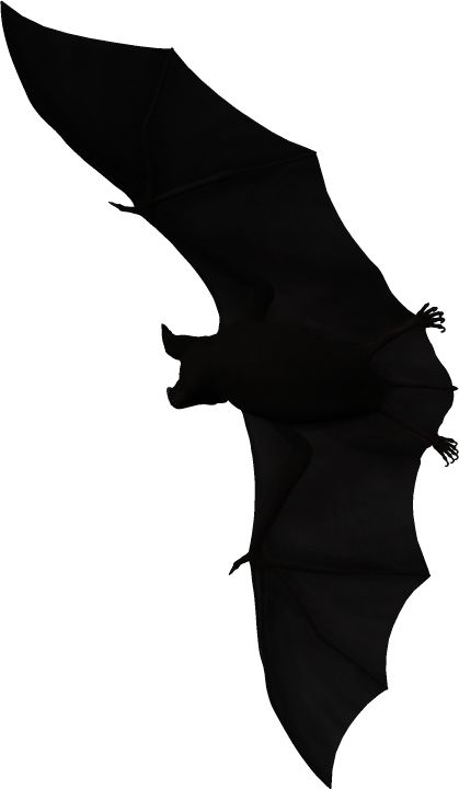 Bat-040 - Bat (419x720)