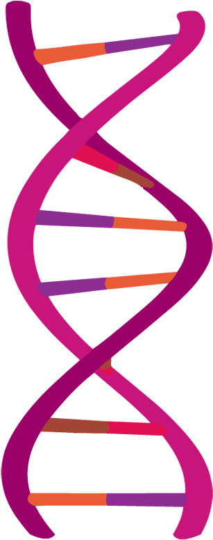 Dna - Cell (880x880)