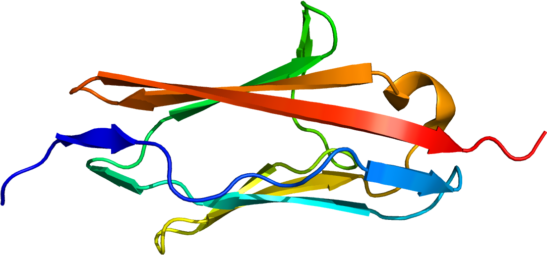 Myot (1200x1000)