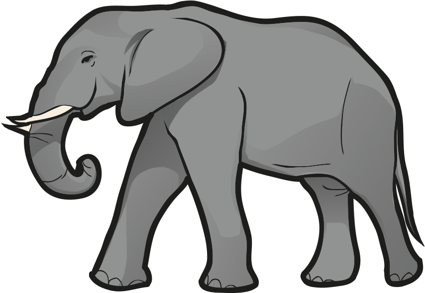 Elephant - Indian Elephant (1085x651)