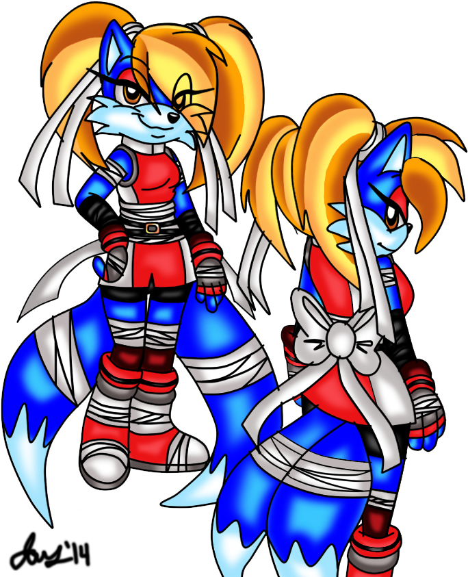 Jayfox Sonic Boom By Jayfoxfire - Cartoon (720x892)