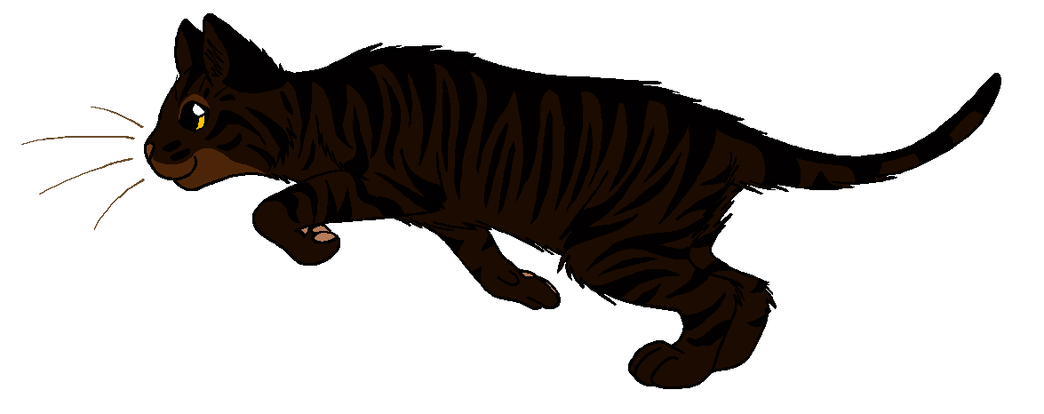 Squirrelwhisker - Warrior Cats Lightningtail (1175x466)