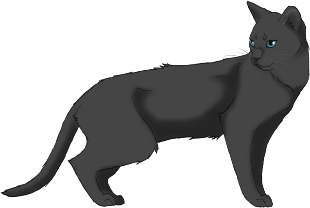 Warrior Cats Ashfoot (1024x615)