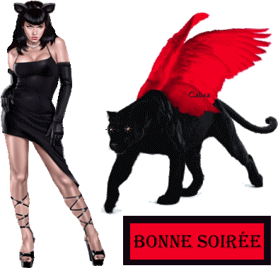 Share - Black Cat (400x400)