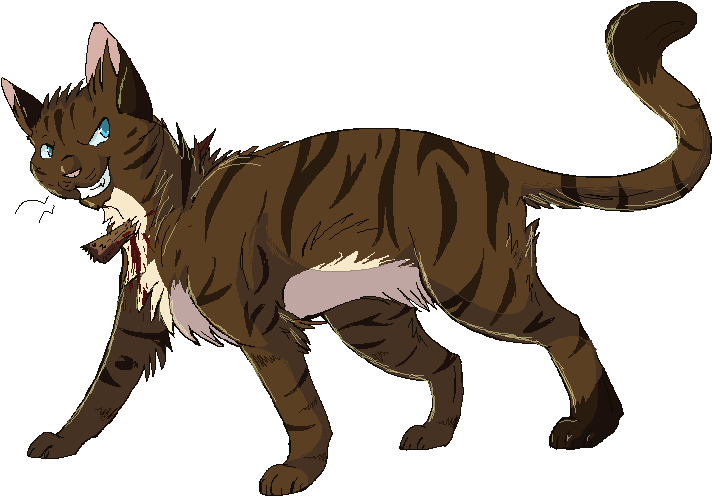 Warriors Cat (775x524)