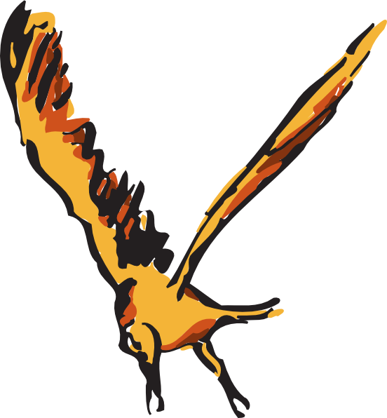 Bird (552x596)