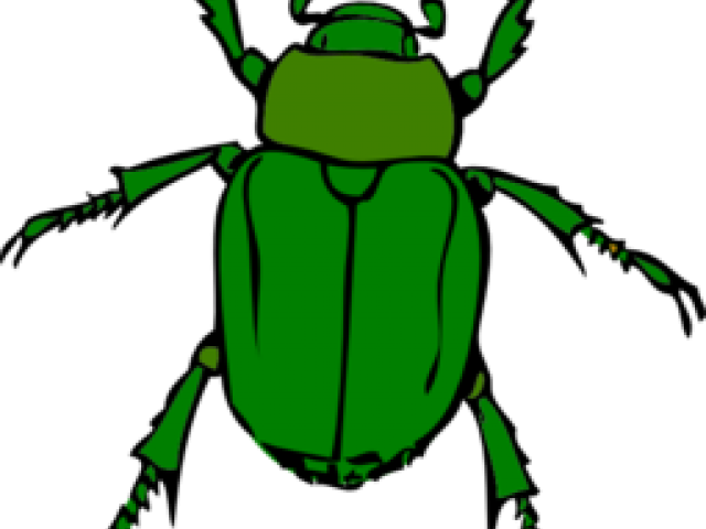 Insect Clipart Green Insect - Beetle Bug (640x480)