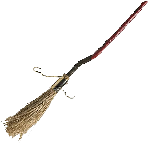 Harry Potter Comet 260 (500x500)
