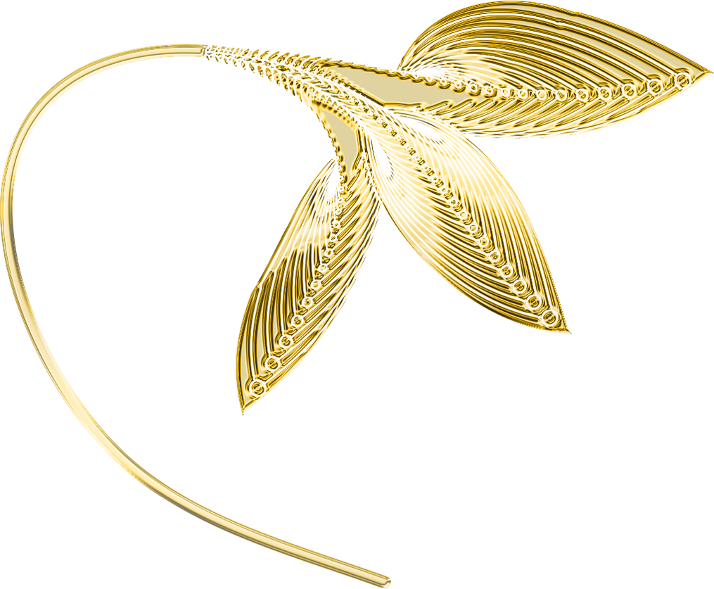 Gold Leaves Png (1015x837)