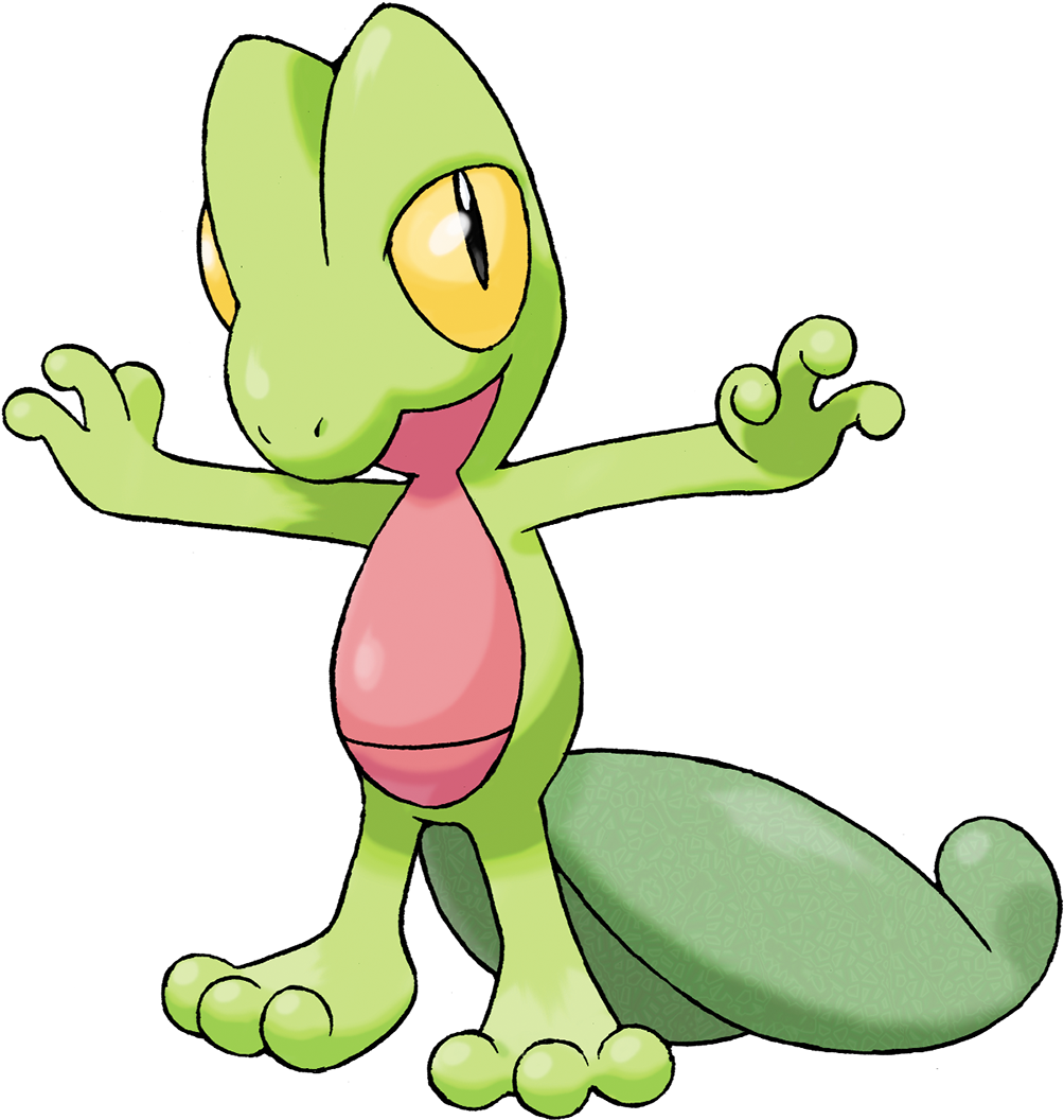 This Pure Grass Type Lizard Is Another Pokemon Favoured - Gen 3 Grass Pokemon (1055x1055)