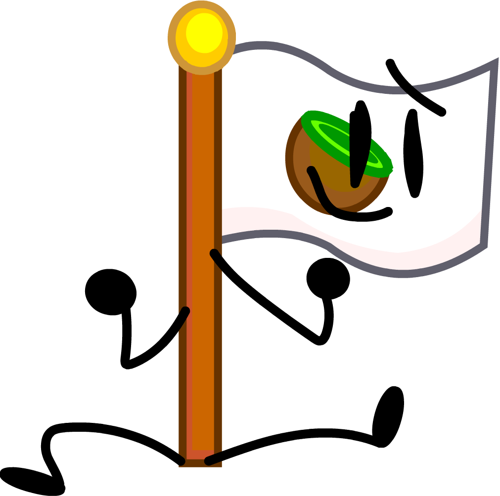 Kiwi Flag - Wiki (1011x1004)