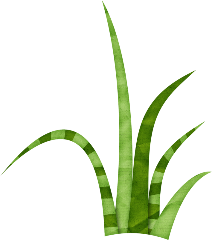 Яндекс - Фотки - Grass Clippings Clip Art (709x800)