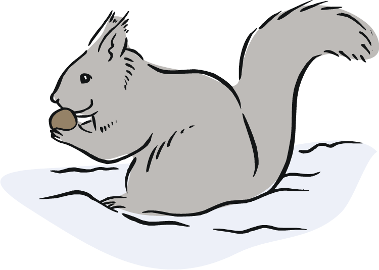 Squirrel Black And White Free Squirrel Clipart - Cartoon Of Squirrel Eating Acorns (750x535)