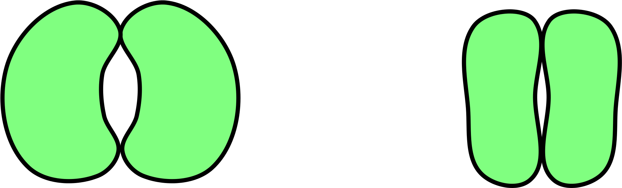 Stomata Png (2000x831)