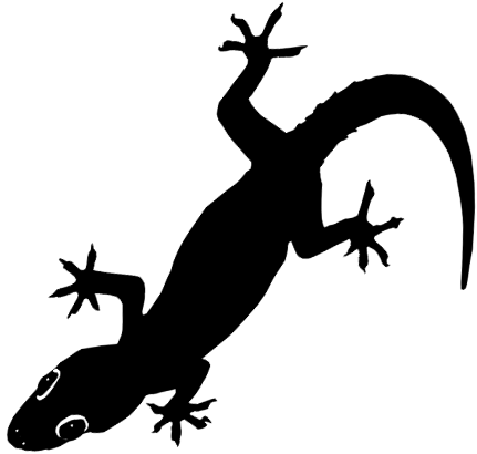 Black Lizard India (431x410)