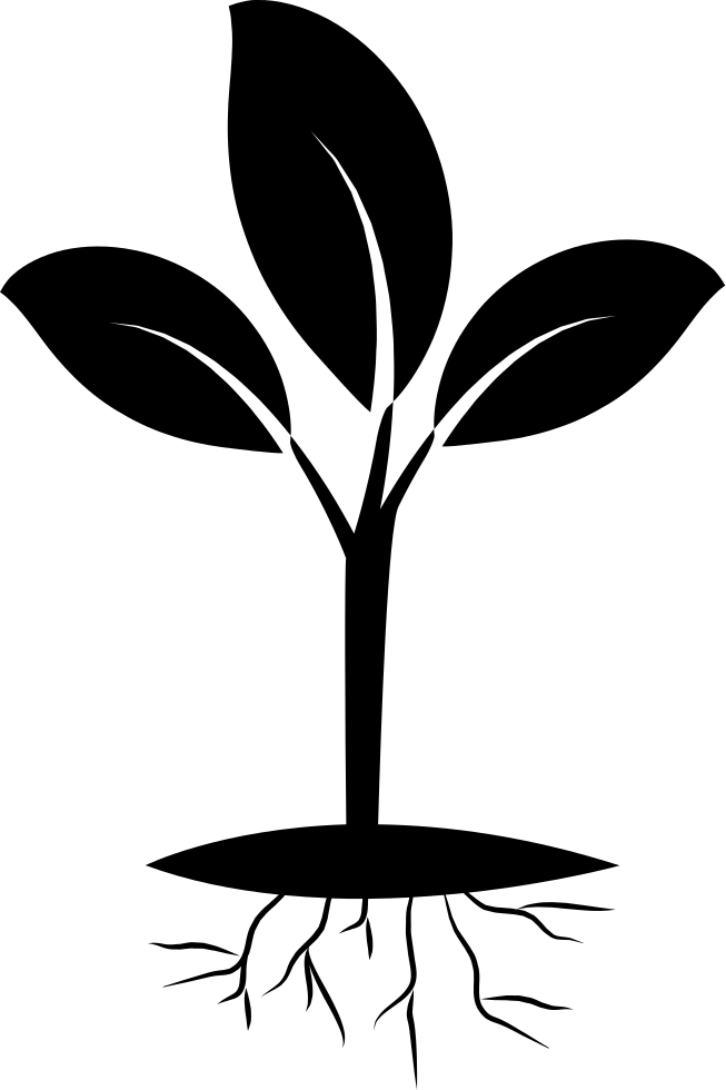 Plant And Root Comments - Garden (653x980)