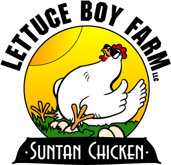 Logo - Lettuce Boy (350x350)