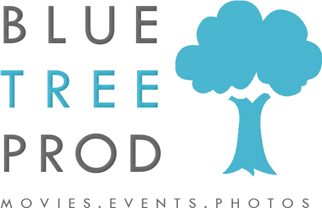 Logo Blue Tree Prod - Logo Blue Tree Prod (913x471)