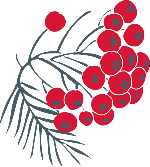 Christmas-ify It - Christmas-ify It (500x556)