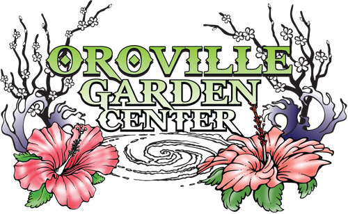 Garden (500x308)