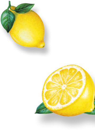 D Lemon Rechts - Lemon (400x758)
