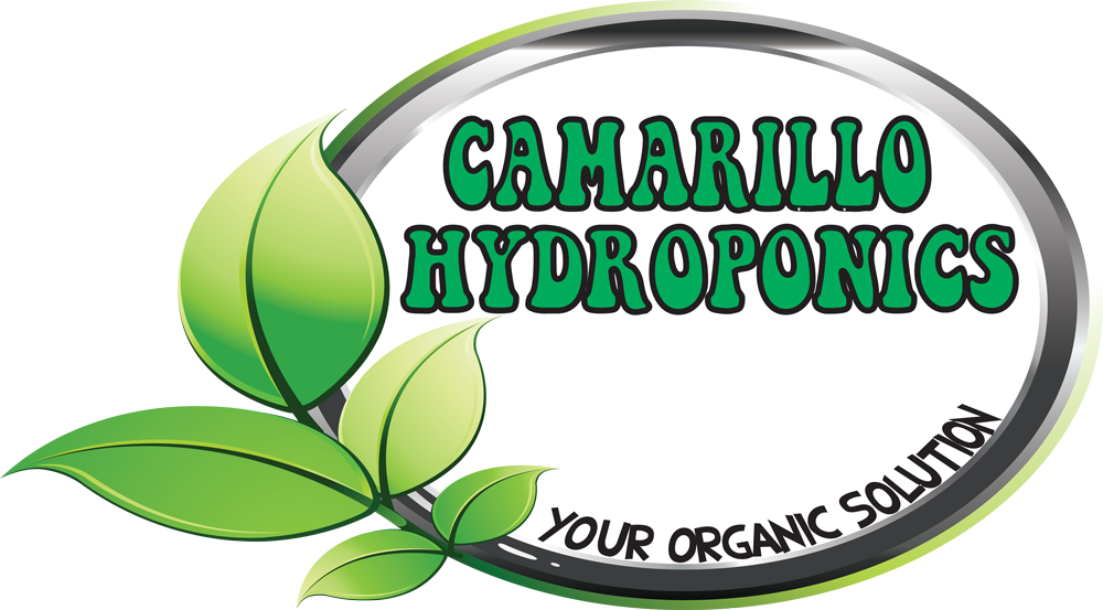 Logo And Name - Camarillo (1000x553)