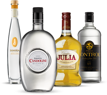 Grappa / Pisco - Grappa Julia Invecchiata Grappa (370x360)