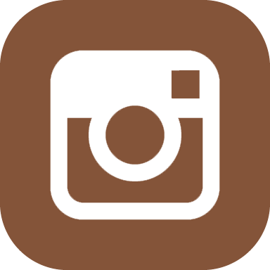 Twitter - Instagram (384x384)