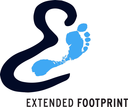 Update Logo - Footprint (500x419)