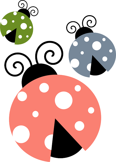 Ladybug Cartoon (461x640)