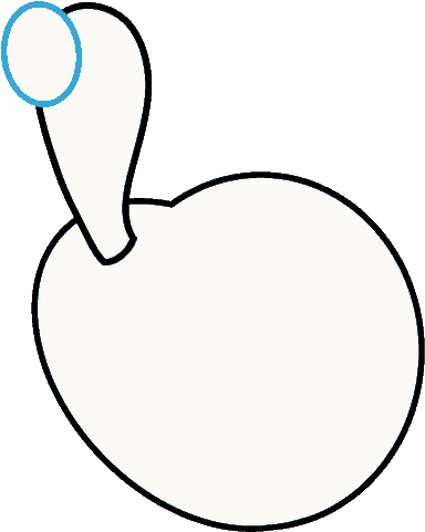 How To Draw Turkey - Drawing (680x680)