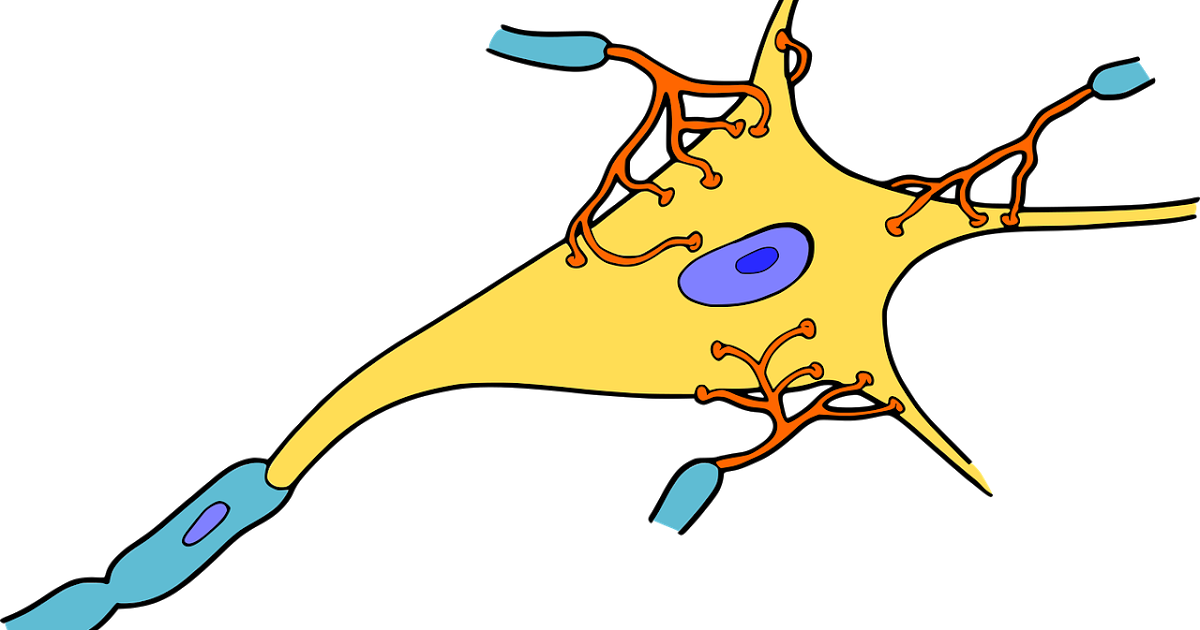 Neuron (1200x630)