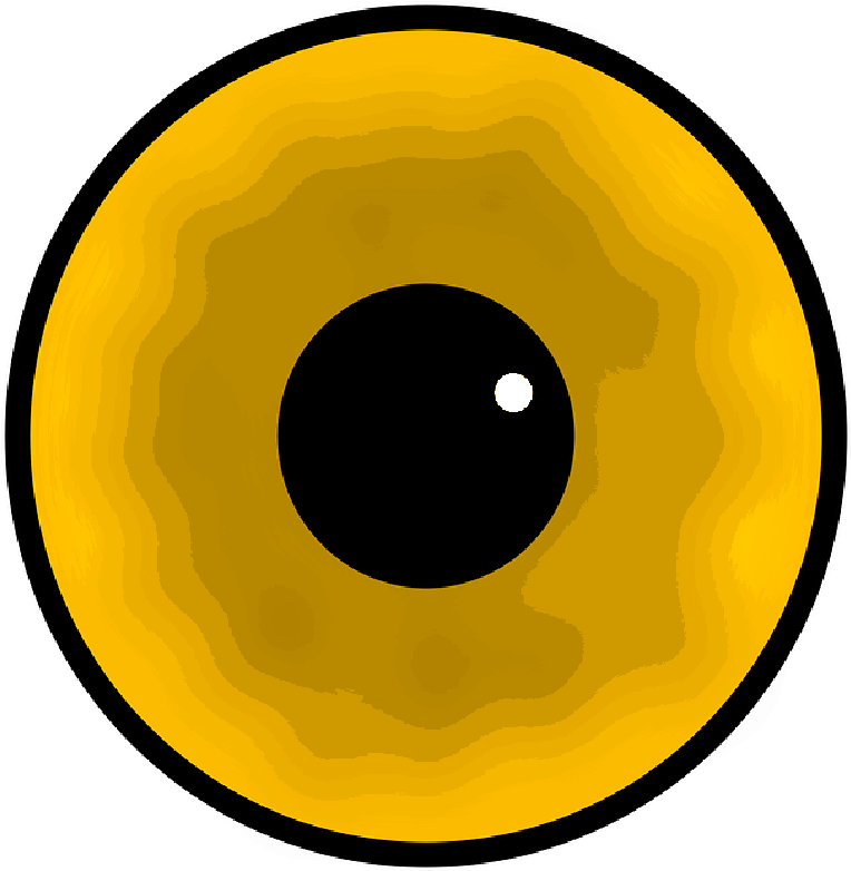 Egg - Yellow Eye Vector (800x806)