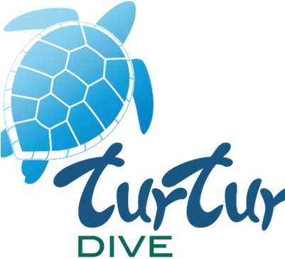 Turtur Dive - Hawksbill Sea Turtle (400x400)