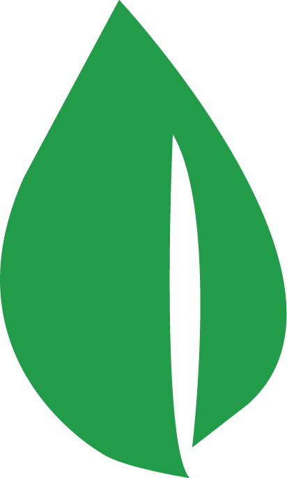 Light Green Leaf - Light Green Leaf (412x685)