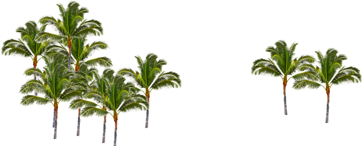 Toggle Navigation - Attalea Speciosa (725x292)