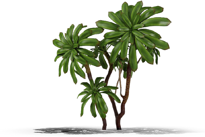 Product Item - Plants (714x714)
