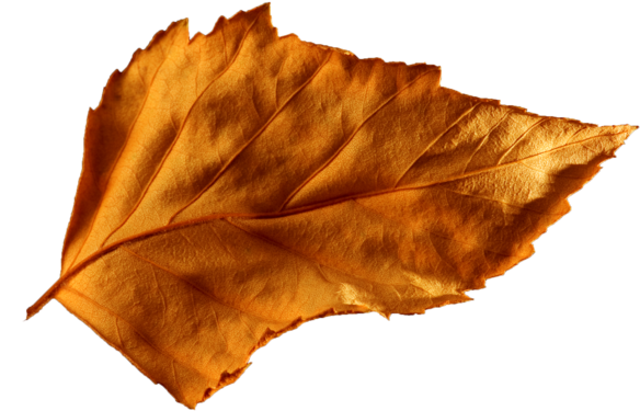 Feuille - Autumn (600x399)