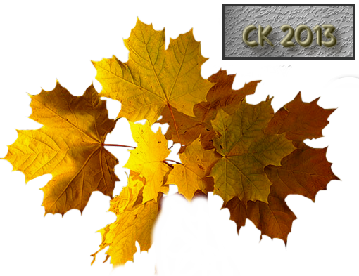 Bouquet De Feuilles - Гифки С Прозрачный Фон Осень (510x393)