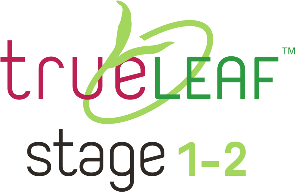 True Leaf Stage Graphics-05 - True Leaf Stage Graphics-05 (1000x665)