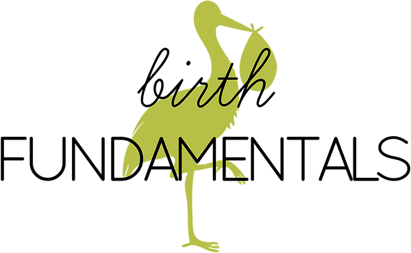 Birth Fundamentals Logo - Turkey (600x370)